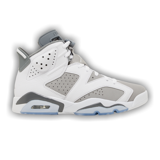 Air Jordan 6 Retro 'Cool Grey' - Used