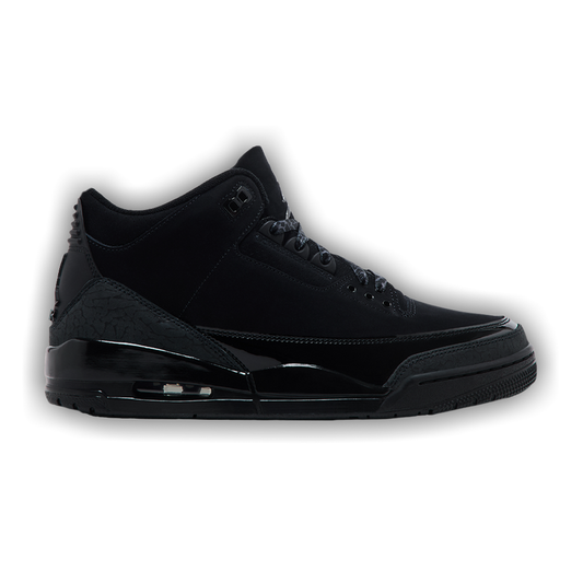 Air Jordan 3 Retro 'Black Cat' 2025 - Used