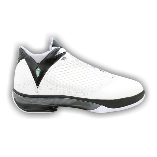 Air Jordan 2009 'White Metallic Silver' - Used